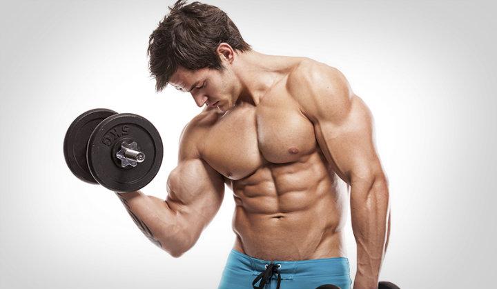 How long does muscle growth last?