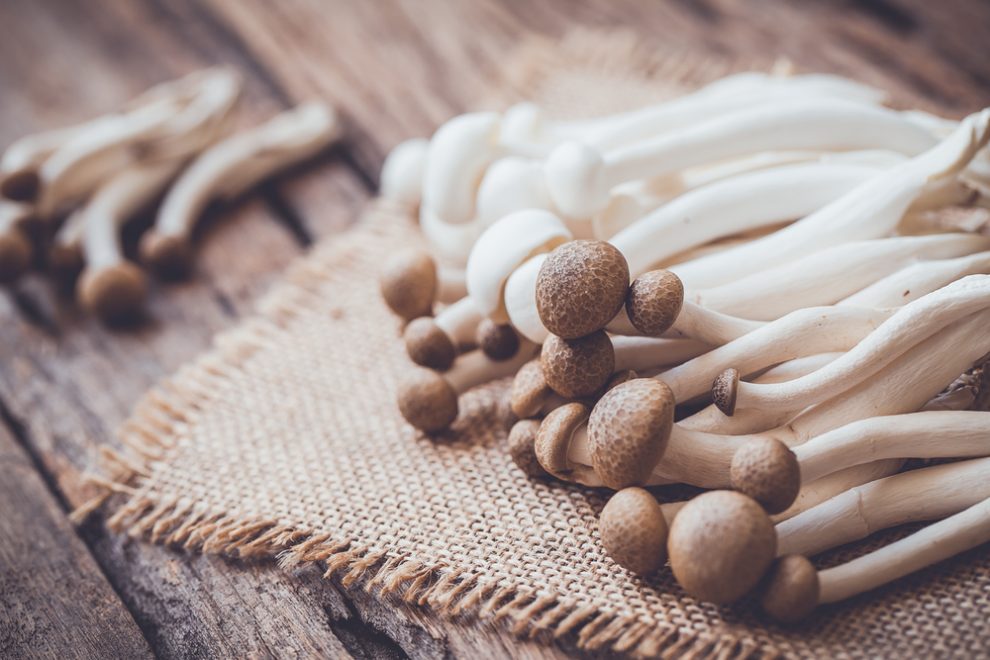 Why is adding mushrooms to your diet a good idea?