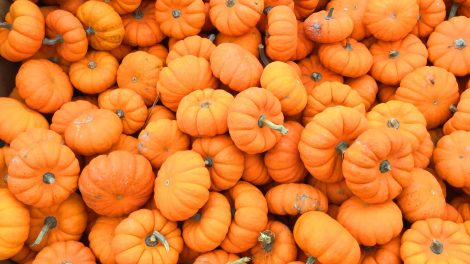 Ideas to use pumpkin in your diet