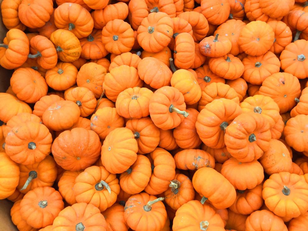 Ideas to use pumpkin in your diet