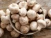 What varieties of mushrooms are the best known?
