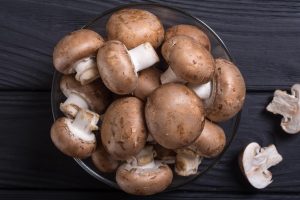 buying Mushrooms and conservation advice
